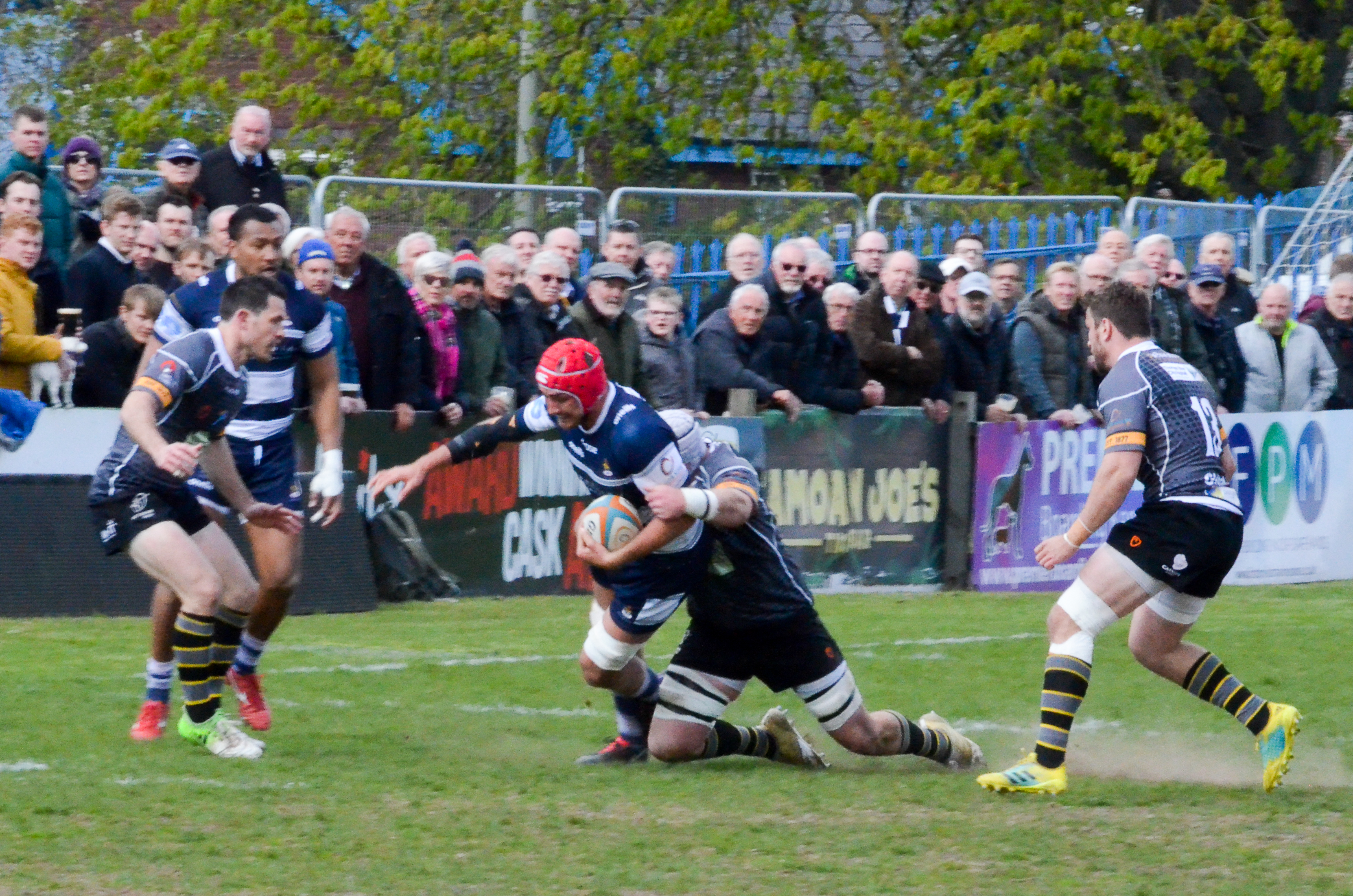 Jersey rugby sales results today