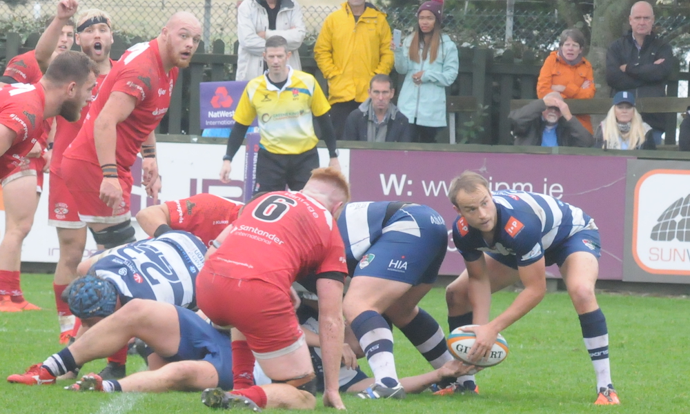 jersey reds rugby